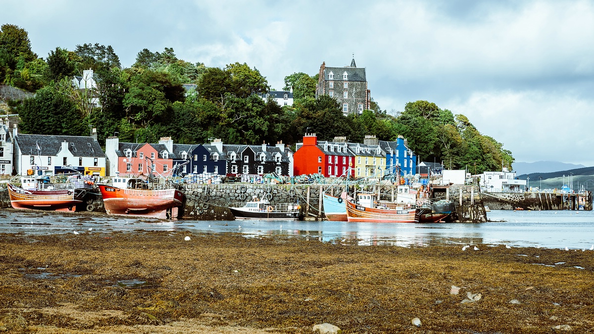 comp Schottland 2017     (27)