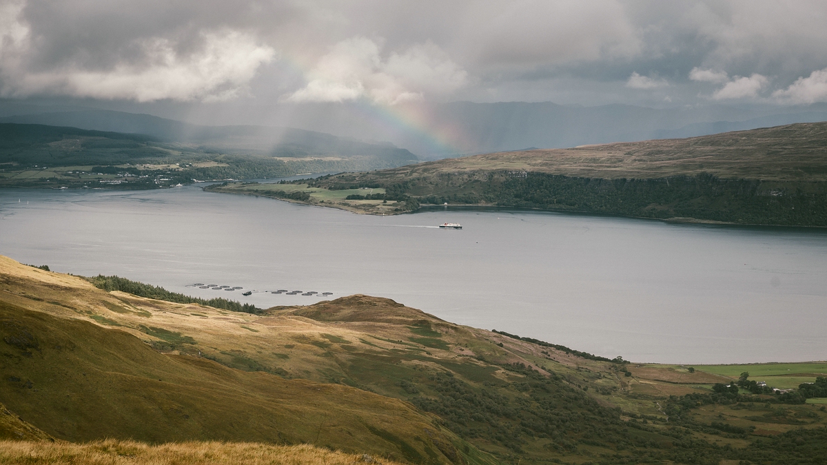 comp Schottland 2017     (34)