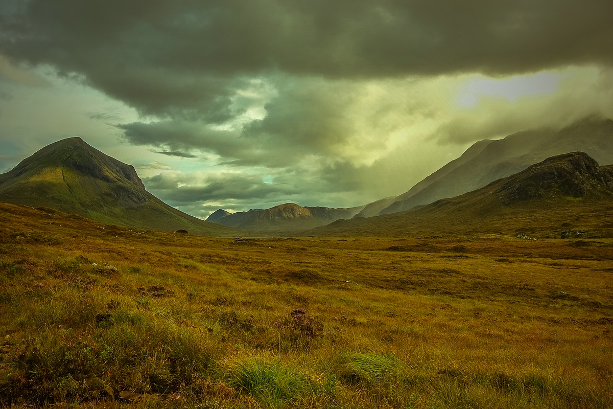 comp Schottland 2017     (77)