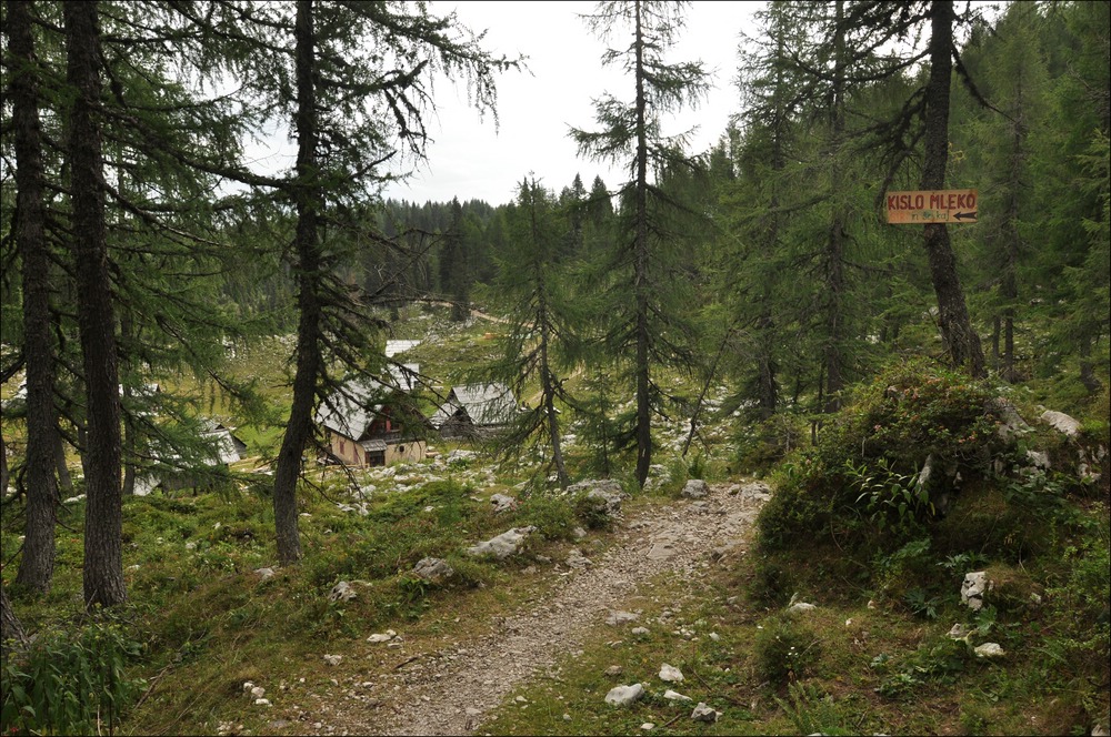 comp Slowenien3 124b Planina Dedro Polje