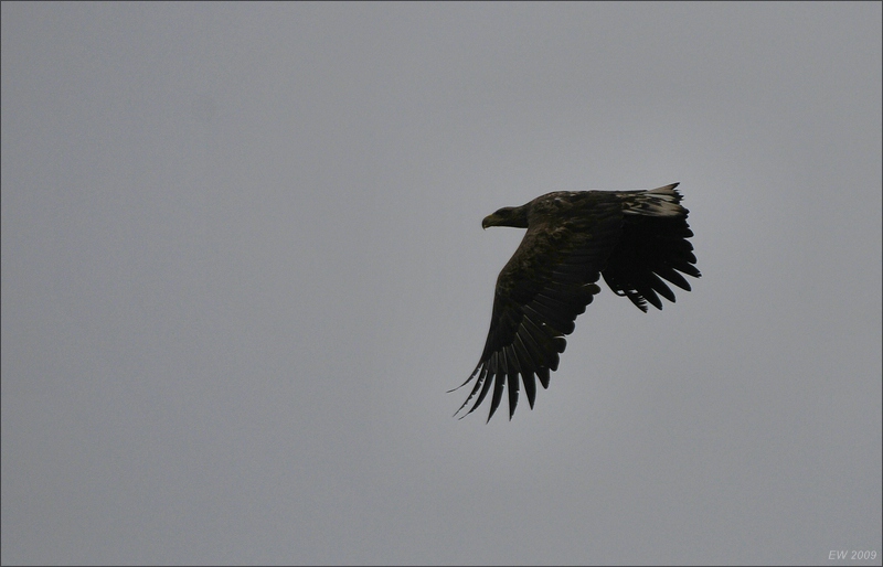 comp Usedom März 2009 0642