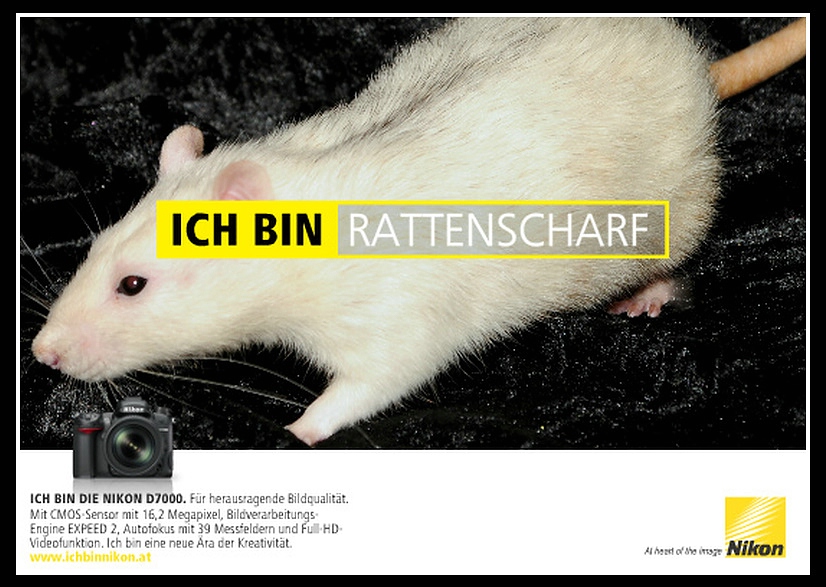 comp Vollbildaufzeichnung 24.06.2011 135018.bmp