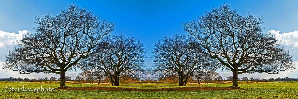 comp Vorfrühling