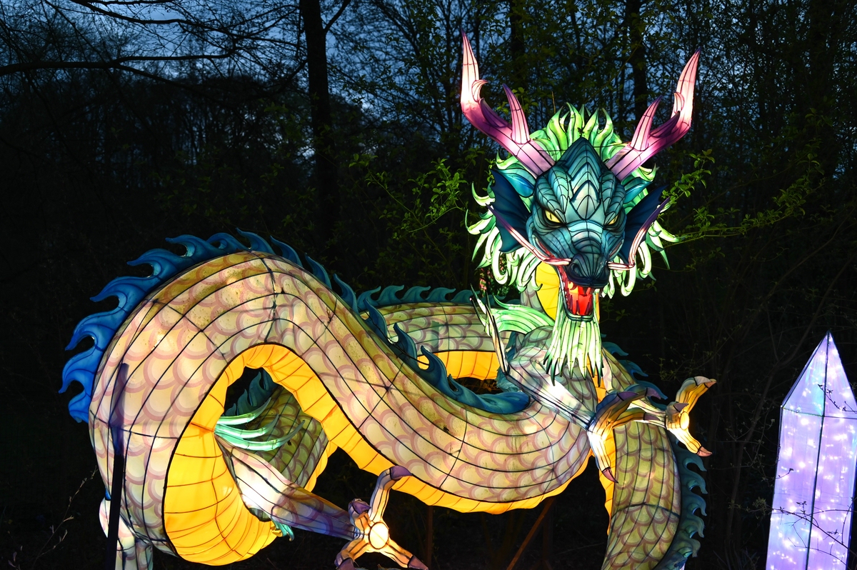 comp_006-Drache klein.jpg