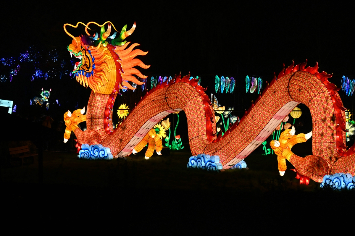 comp_009-Drache groß 3.jpg