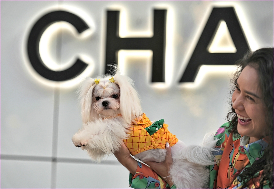comp_2Chanel-Dog-lumi.jpg