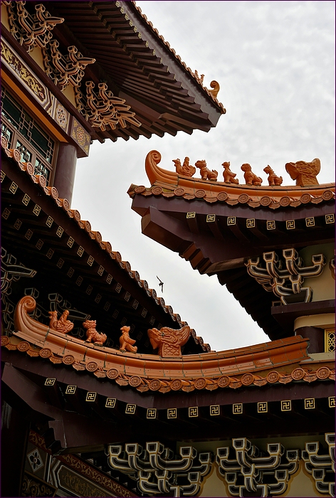comp_2DSC05114.jpg