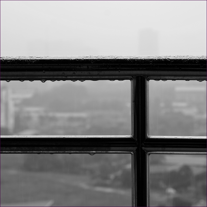 comp_2DSC08025.jpg