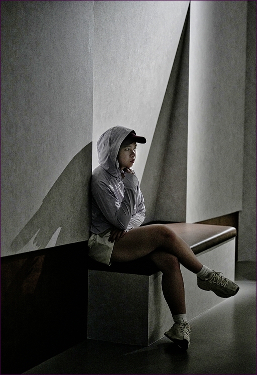 comp_2FanHo-S-lumi.jpg