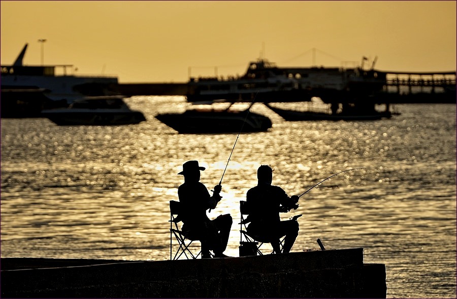 comp_2Fishing-lumi.jpg