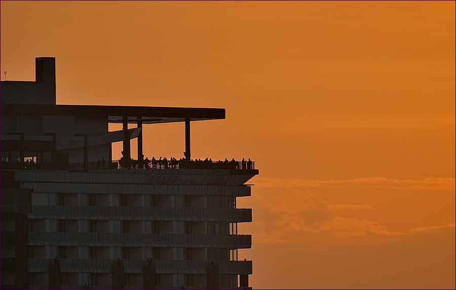 comp_2HiltonHorizon.jpg