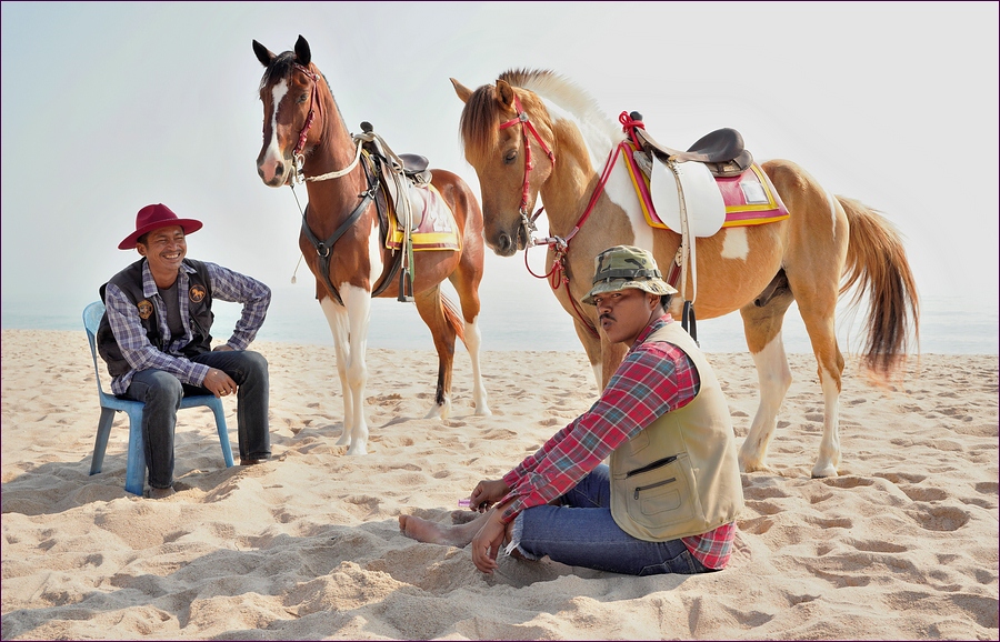 comp_2Horses.jpg