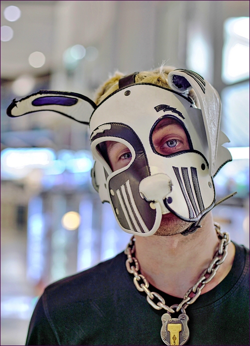 comp_2IchHund-lumi.jpg