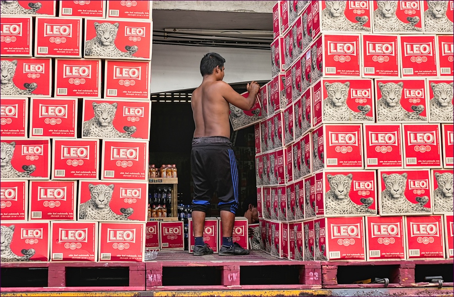 comp_2Leo-Lumi.jpg