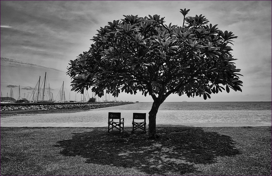comp_2Tree-SW-Lumi.jpg