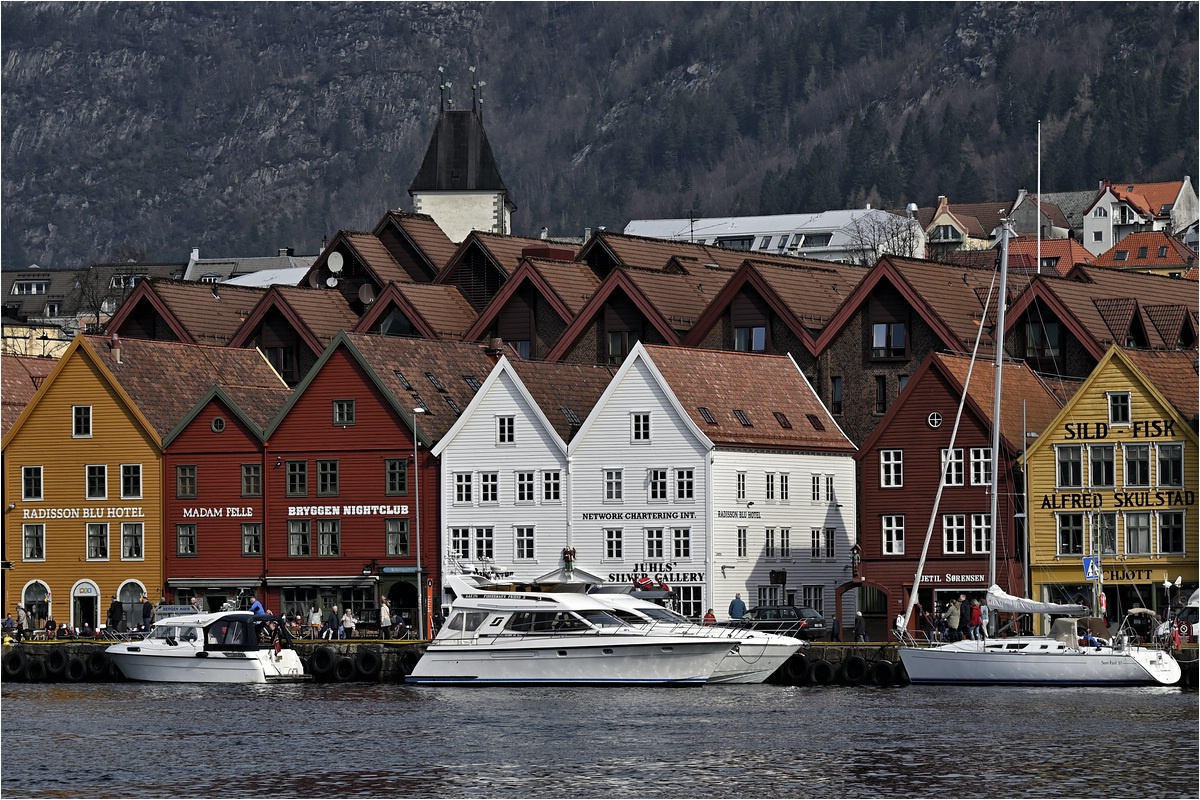 comp__DSC1228_ Kopie.jpg
