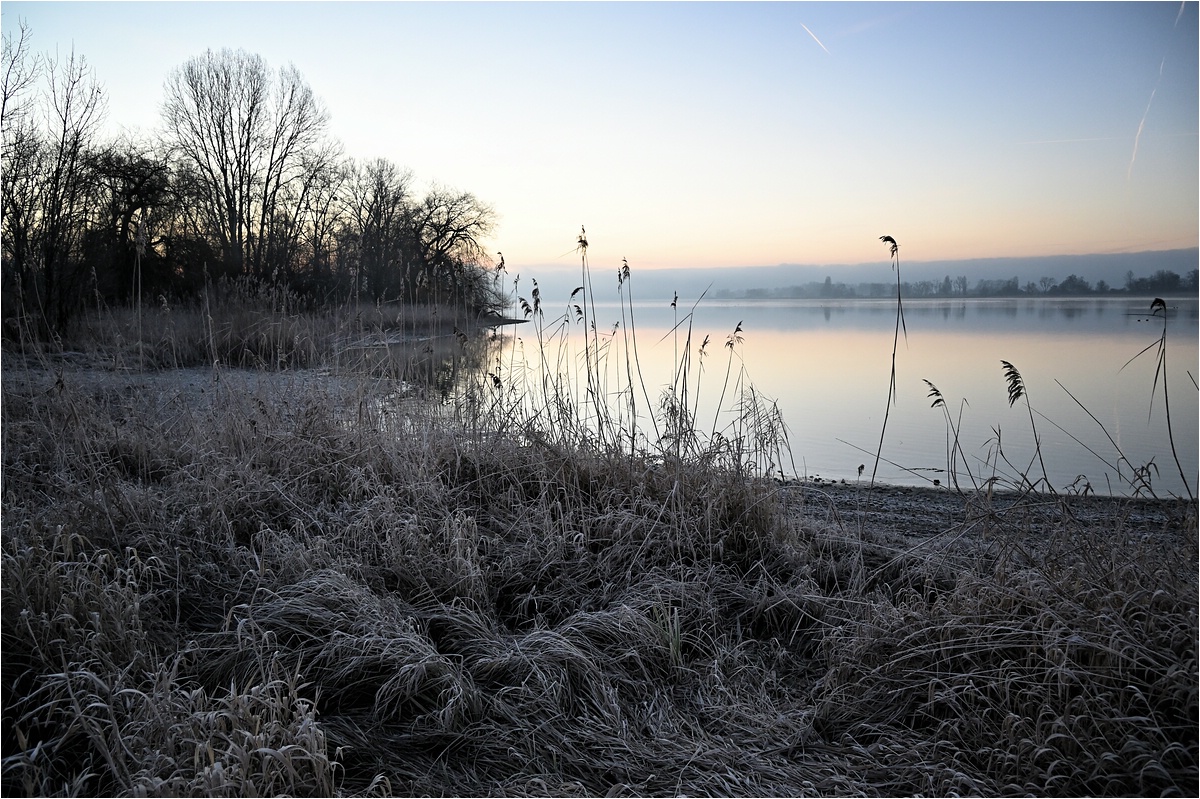 comp__DSC3664_ Kopie.jpg