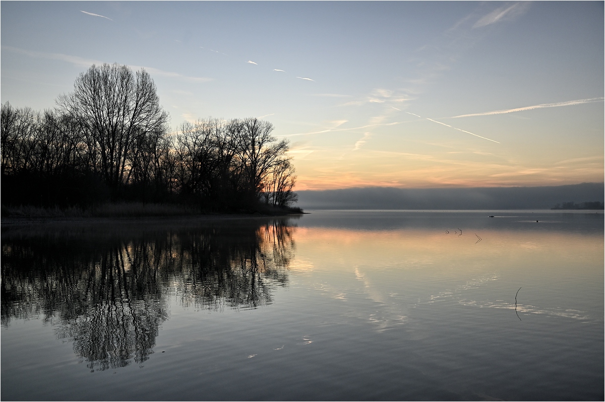 comp__DSC3668_ Kopie.jpg