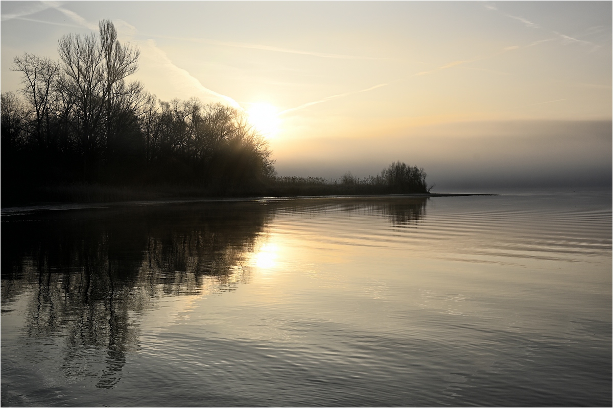 comp__DSC3694_ Kopie.jpg