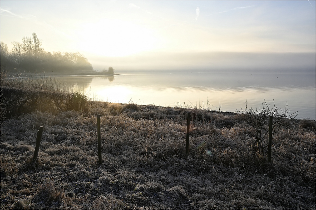 comp__DSC3697_ Kopie.jpg