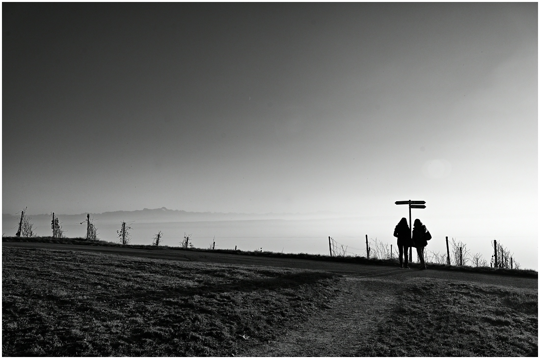 comp__DSC4368 Kopie_01.jpg