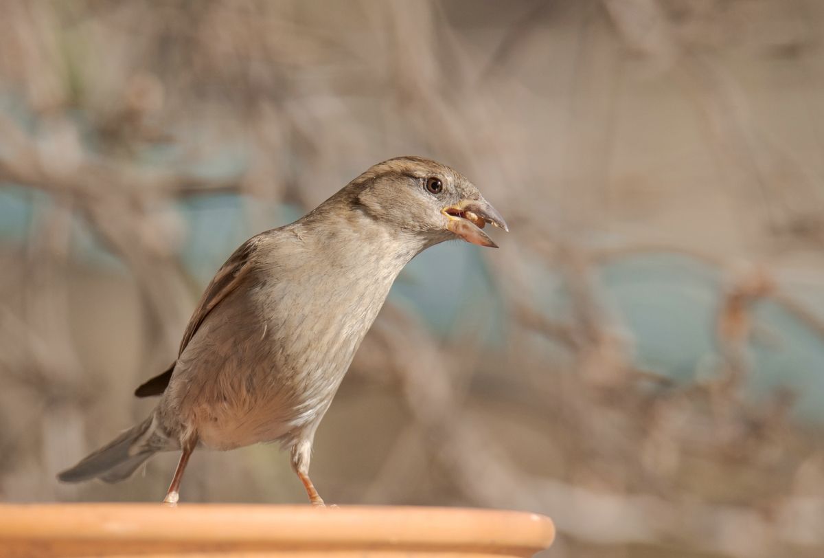 comp__H011742.jpg