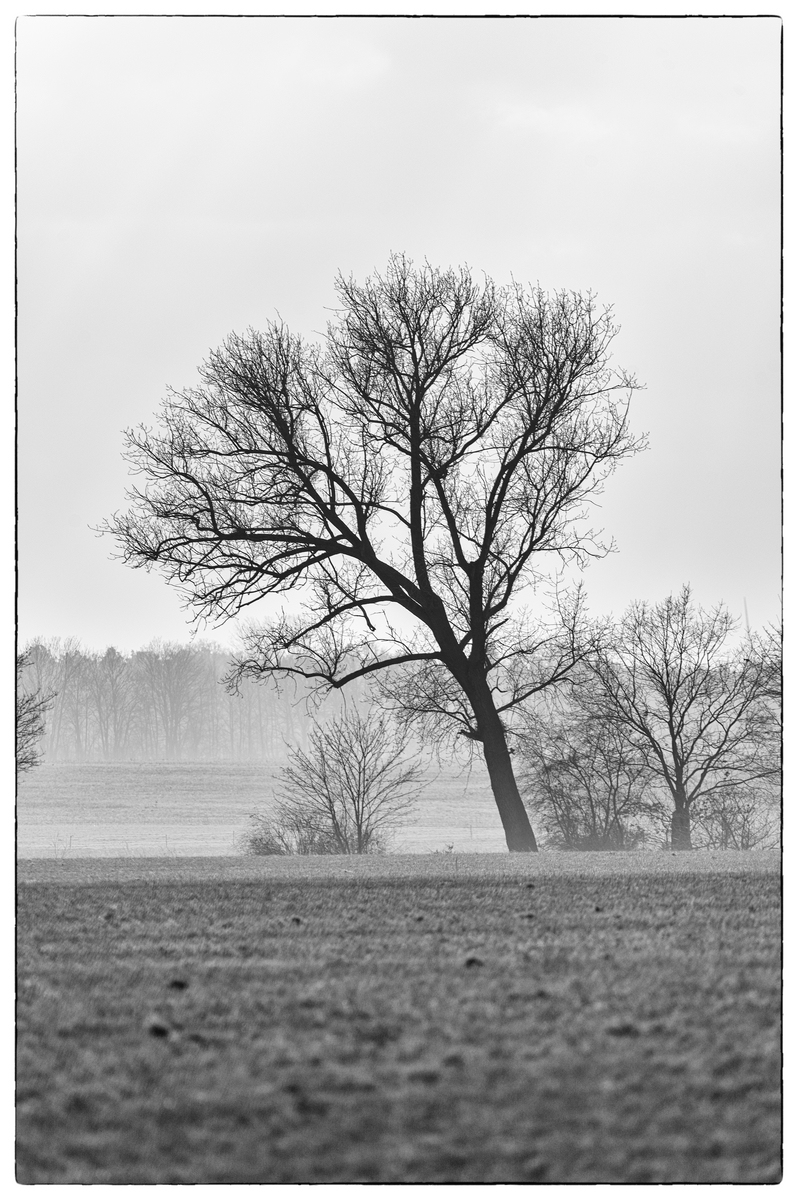 comp__M000051-Bearbeitet.jpg
