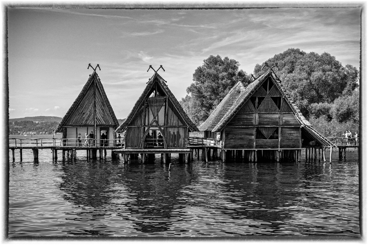 comp_D50_9020-Bearbeitet-2.jpg