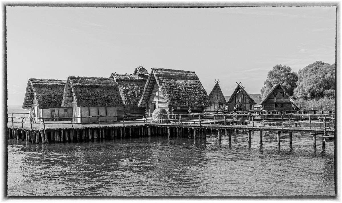 comp_D50_9036-Bearbeitet-2.jpg