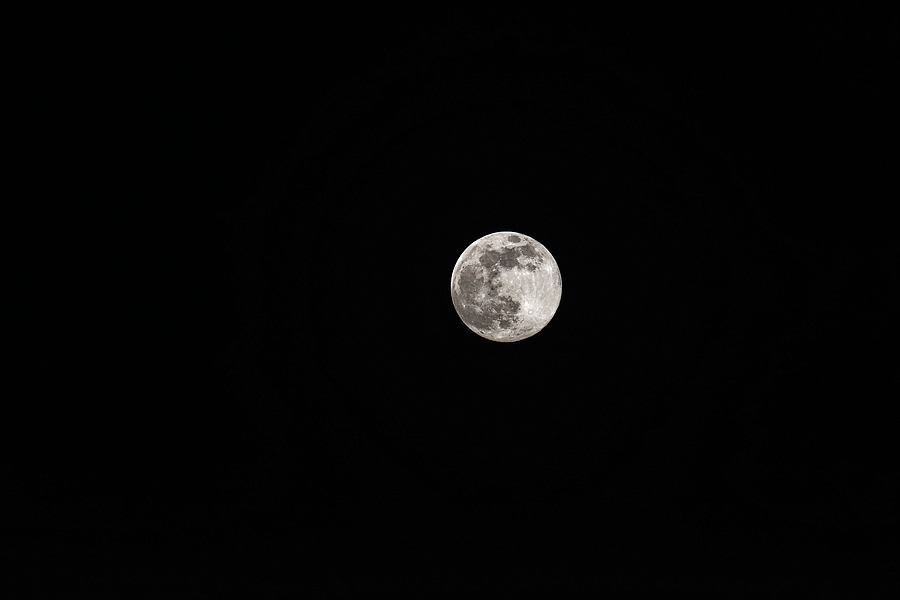 comp_D73_3254_DxO-1.jpg