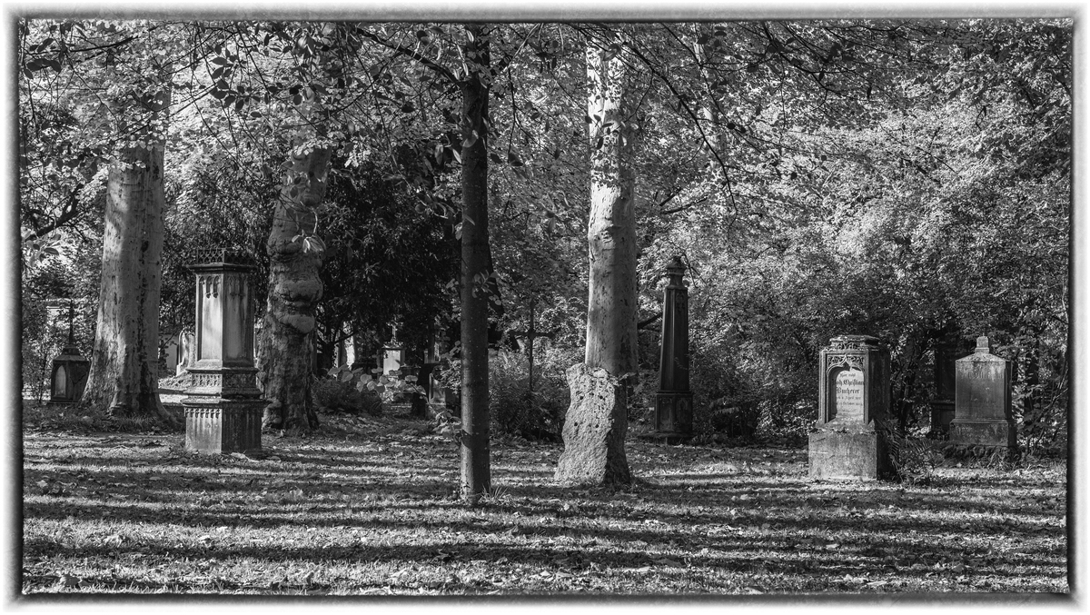 comp_D85_0411-Bearbeitet-2.jpg