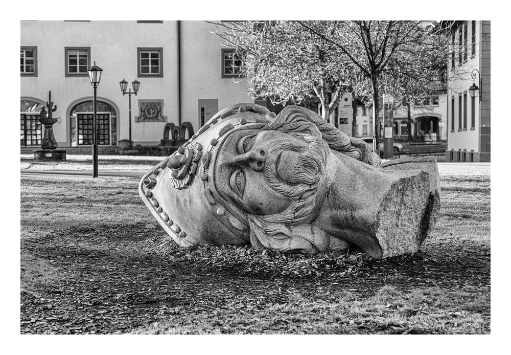 comp_D85_3718-NEF_DxO_DeepPRIME Kopie.jpg