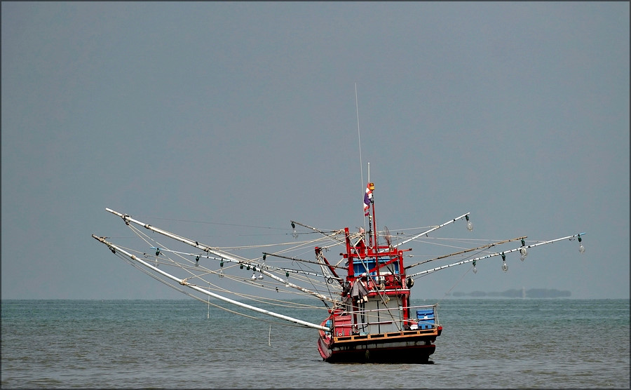 comp_DSC00538.jpg