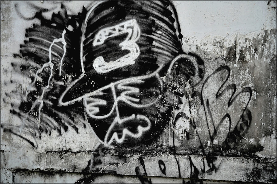 comp_DSC05128.jpg
