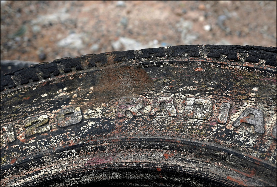 comp_DSC06437.jpg