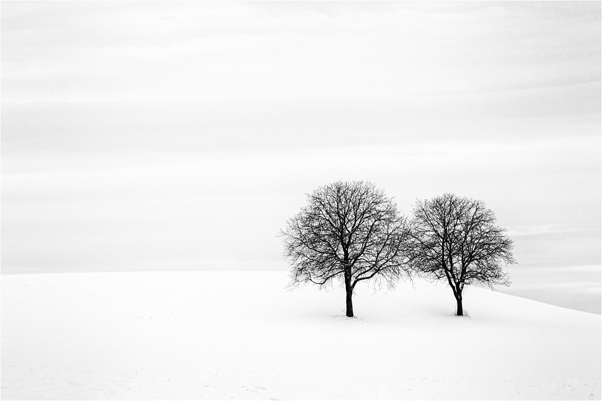 comp_DSC09566 Kopie SW 2.jpg