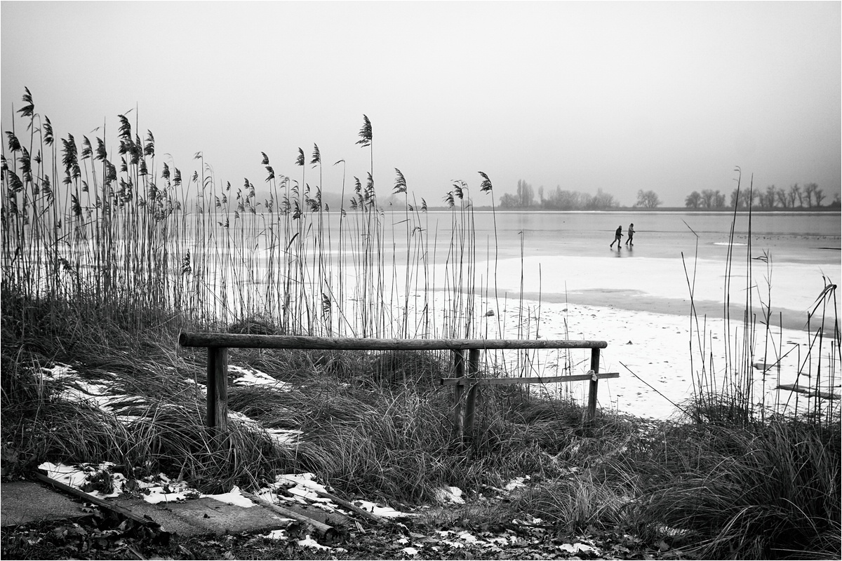 comp_DSC09677 SW.jpg
