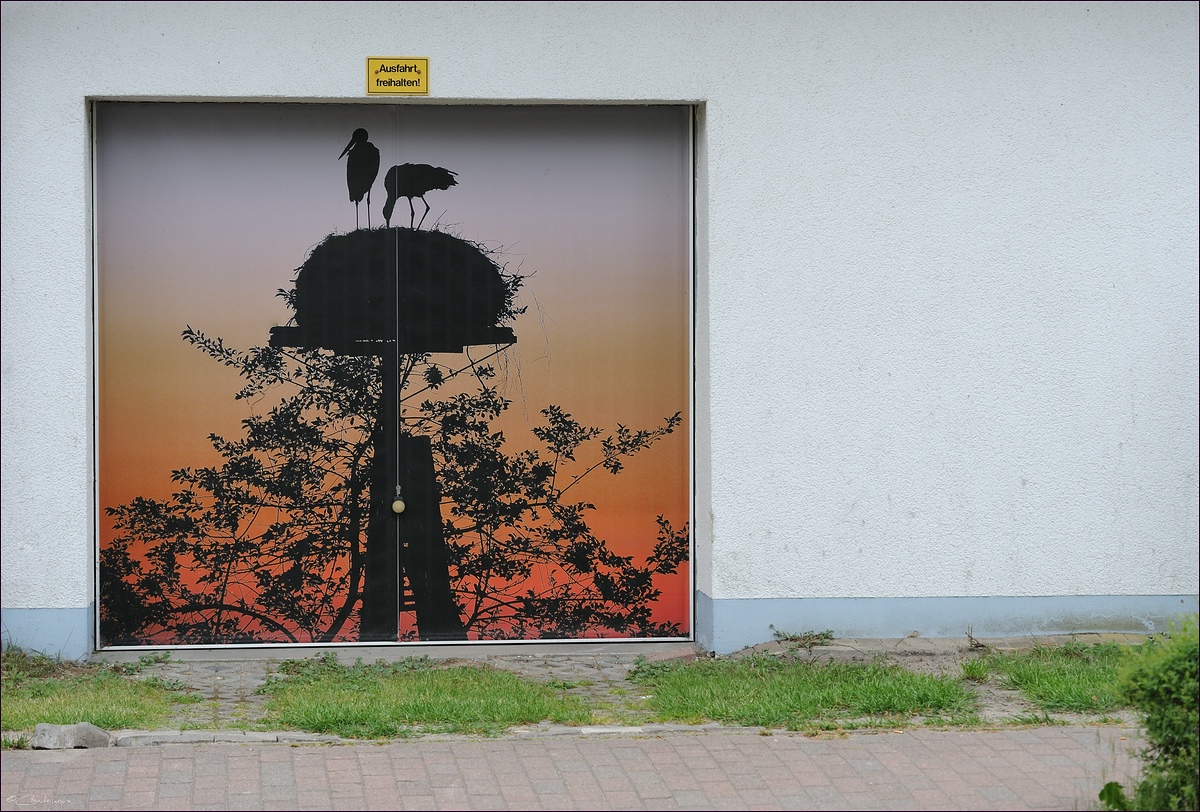 comp_DSC17248 - Zingst.jpg