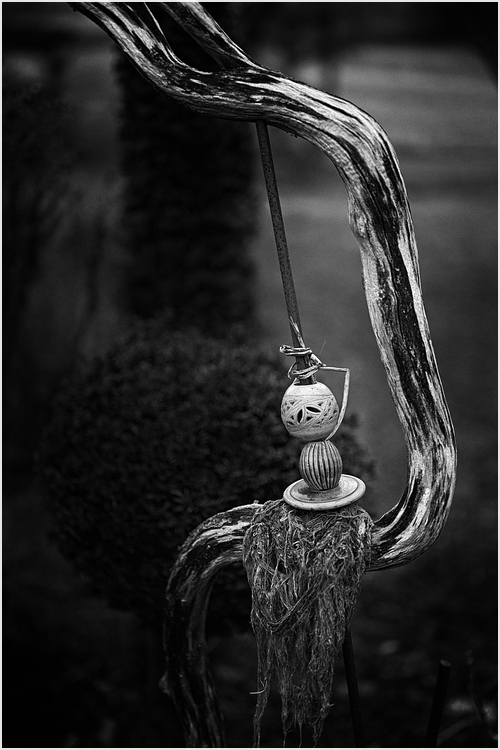 comp_DSC_0041_01 Kopie.jpg