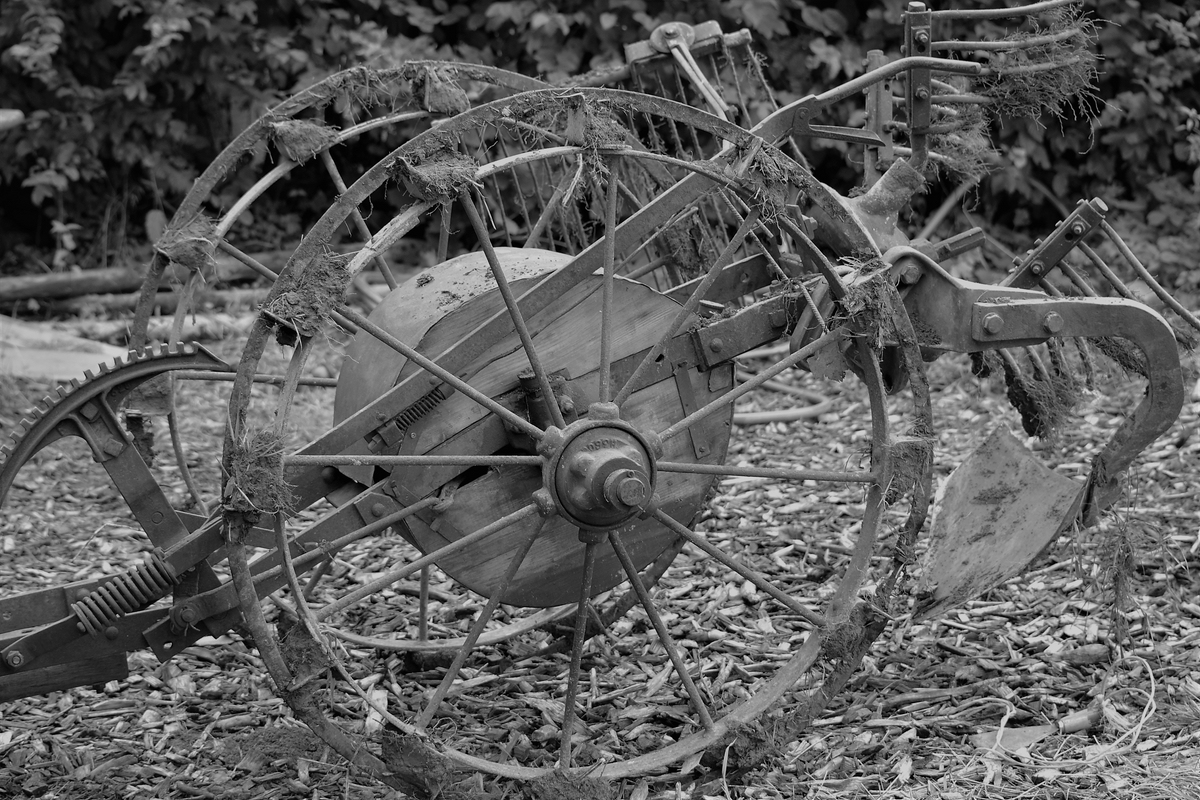 comp_DSC_0050.jpg