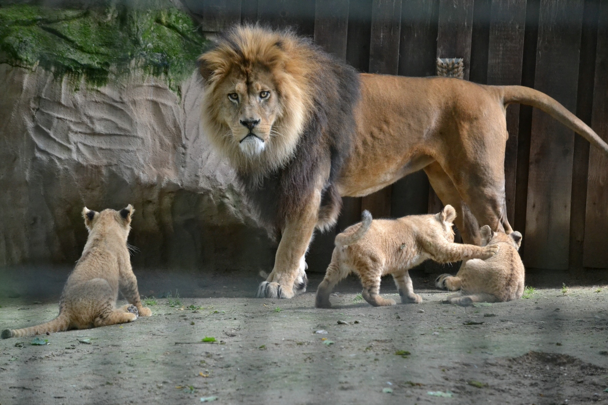 comp_DSC_0307.jpg