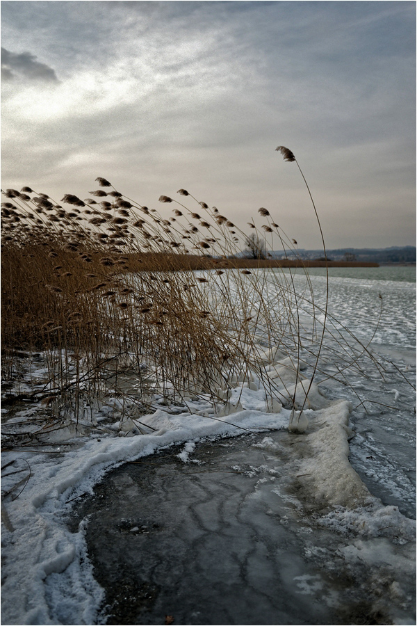 comp_DSC_0649_DxO Kopie Kopie.jpg