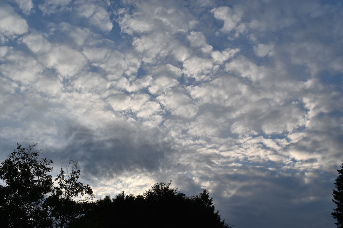 comp_DSC_0661.jpg