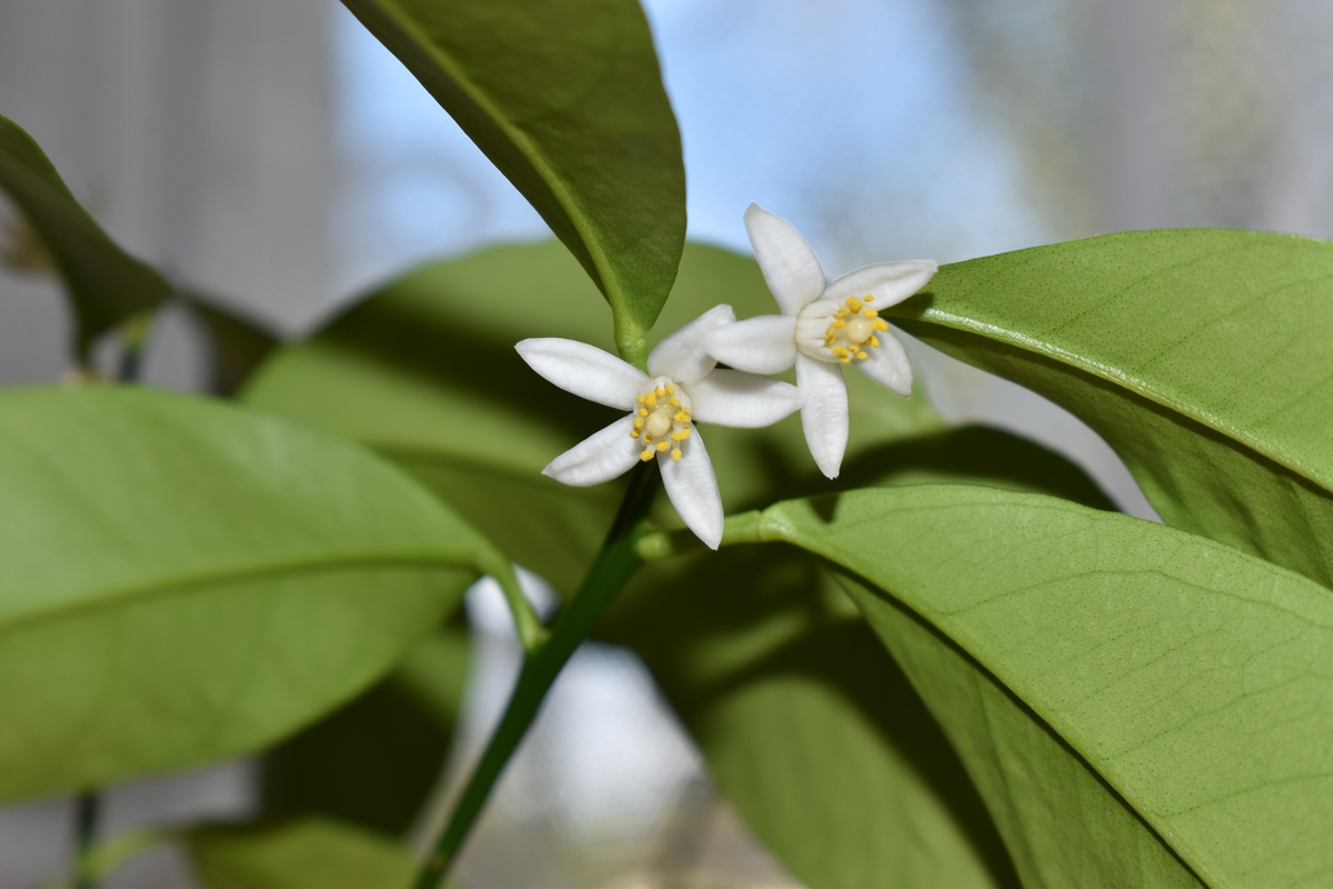 comp_DSC_0670.jpg