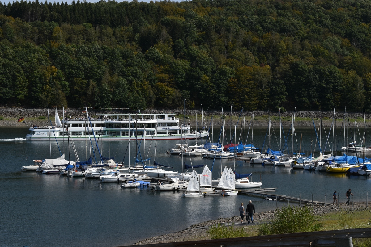 comp_DSC_0720.jpg