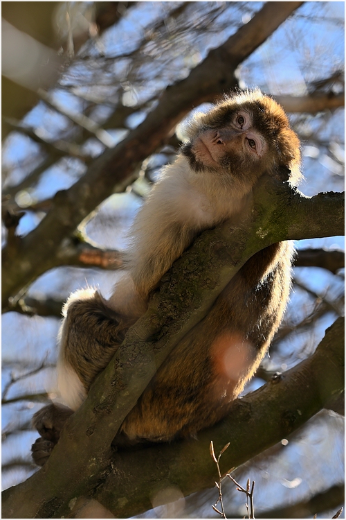comp_DSC_0736 Kopie.jpg