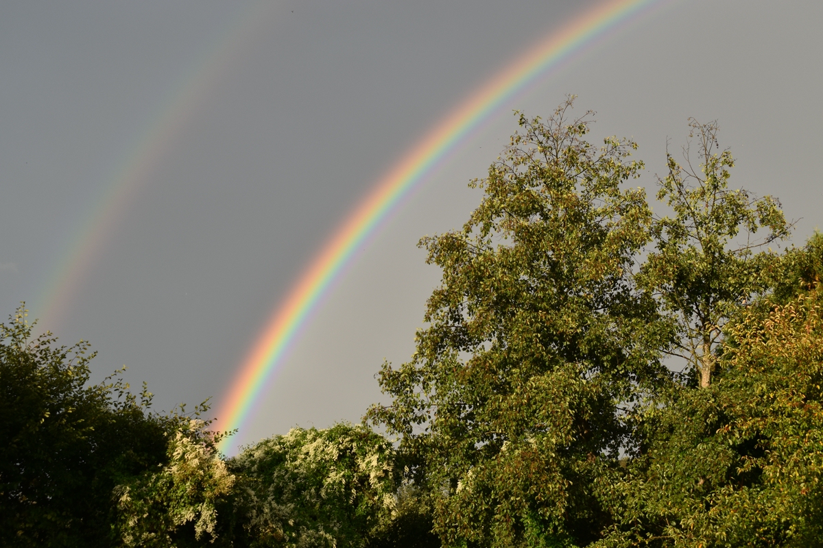 comp_DSC_0755.jpg