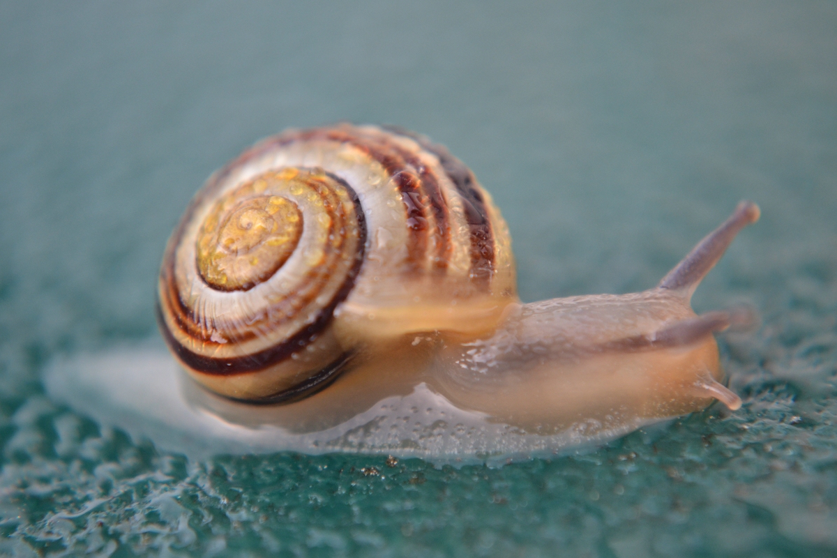 comp_DSC_0763.jpg
