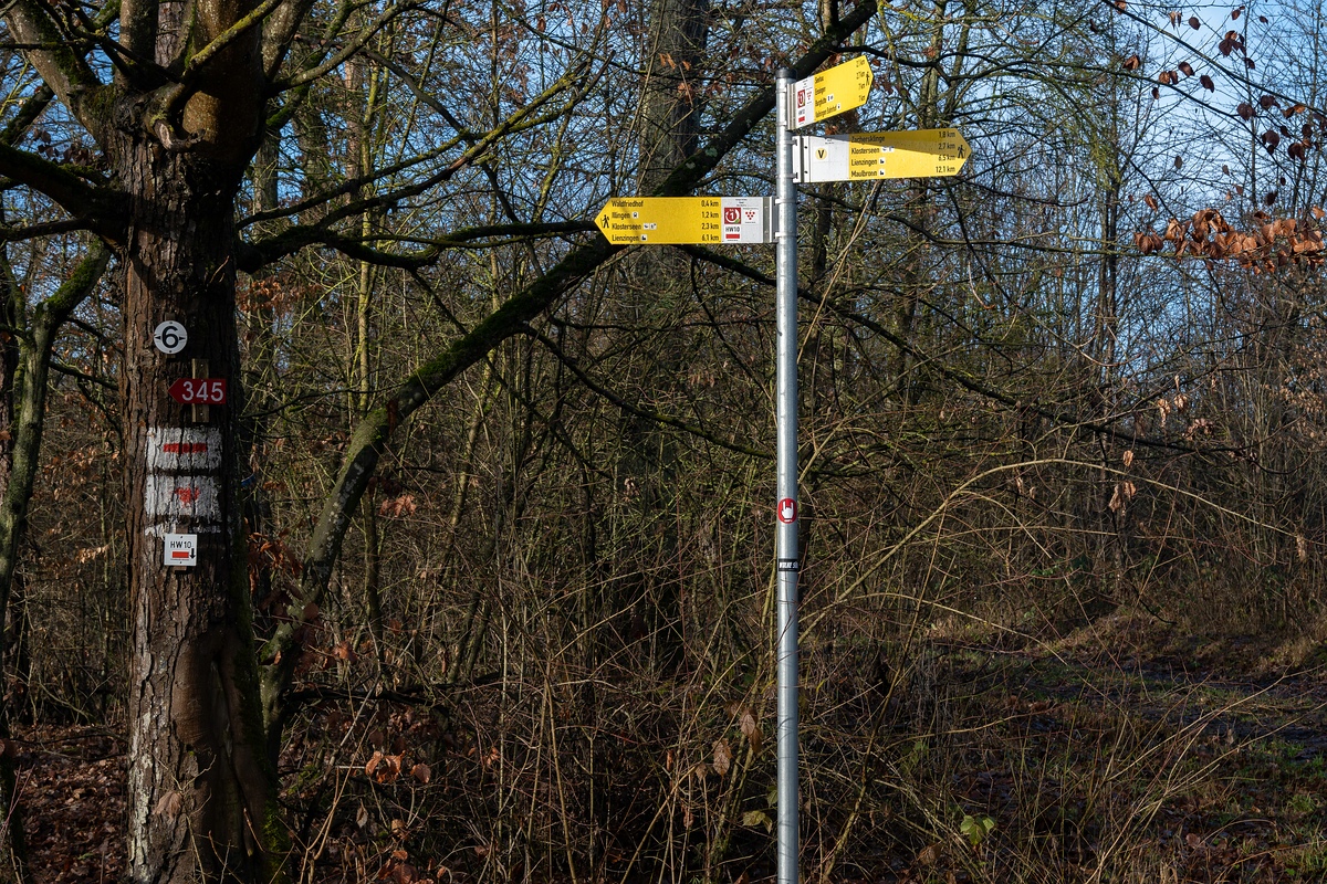comp_DSC_0814.jpg