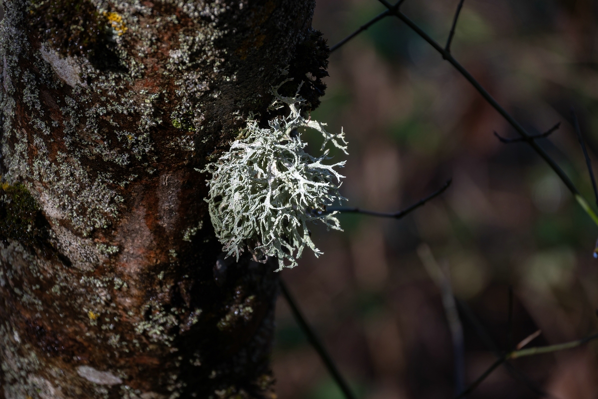 comp_DSC_0821.jpg